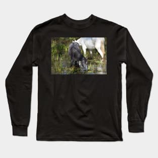 Wild Horse Long Sleeve T-Shirt